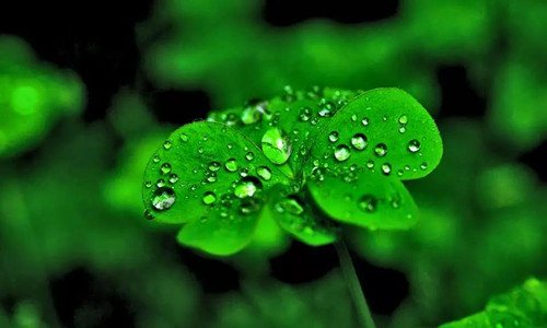 微信圖片_20180312095822.jpg 微信圖片_20180312095822.jpg