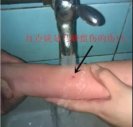 微信圖片_20200428141837.jpg 微信圖片_20200428141837.jpg