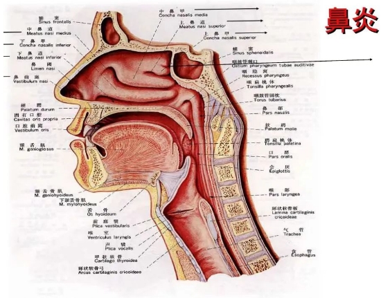 微信截圖_20231128110602.png 微信截圖_20231128110602.png
