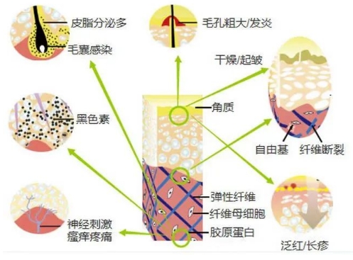 微信截圖_20231128110938.png 微信截圖_20231128110938.png