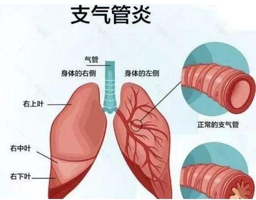 微信截圖_20231128111031.png 微信截圖_20231128111031.png